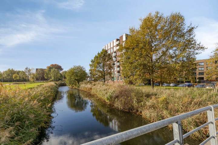 Foto 12 van Bernard de Wildestraat 618