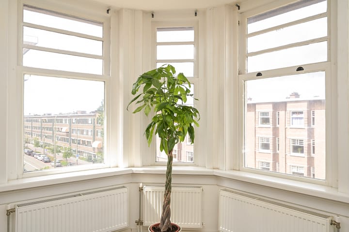 Foto 15 van Vondelstraat 92