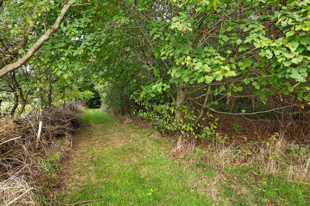 Foto 43 van Leggelerstraat 8