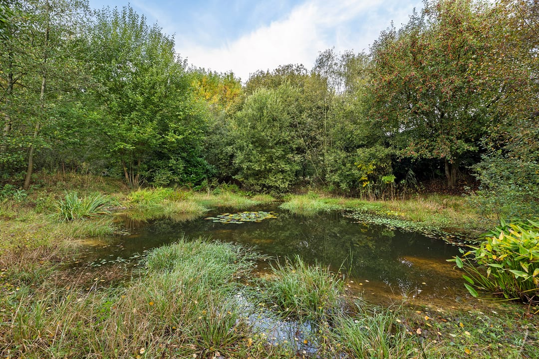 Foto 46 van Leggelerstraat 8