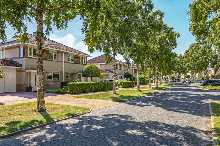 Foto 71 van Donaudal 59