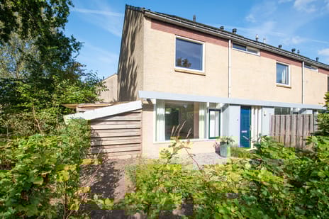 undefined main image