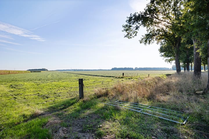 Foto 6 van Diphoorn 8