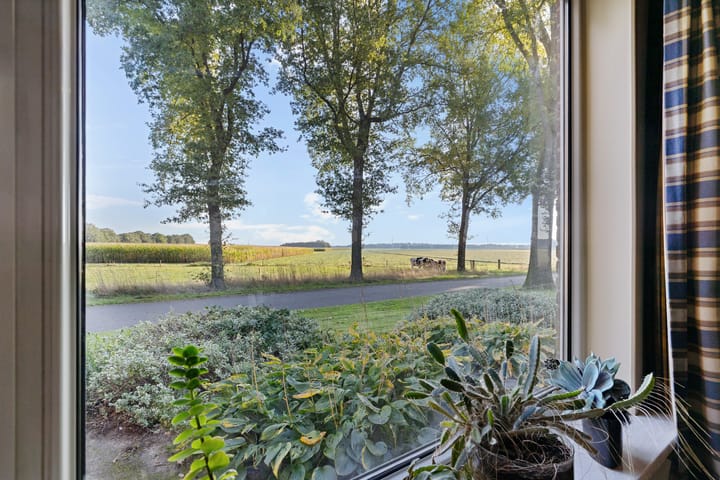 Foto 10 van Diphoorn 8