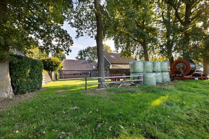 Foto 31 van Diphoorn 8