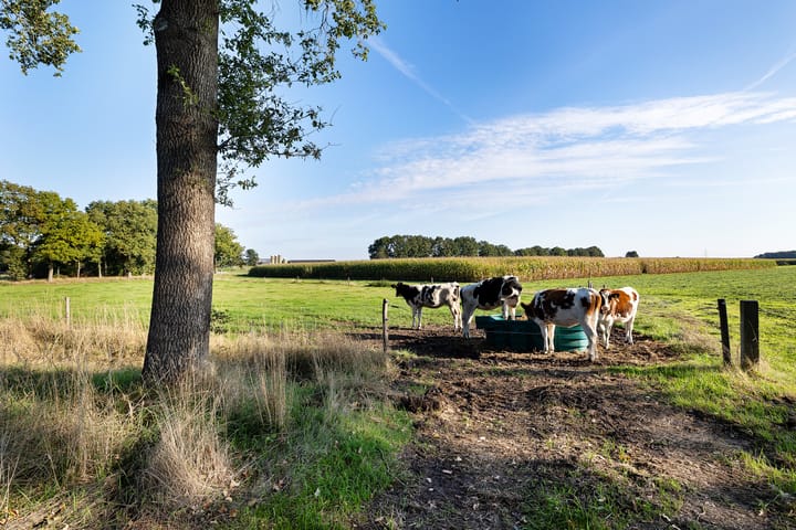 Foto 33 van Diphoorn 8