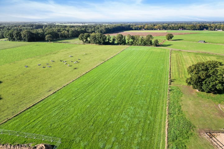 Foto 34 van Diphoorn 8