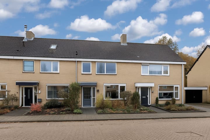 Noordzoom 16 main image