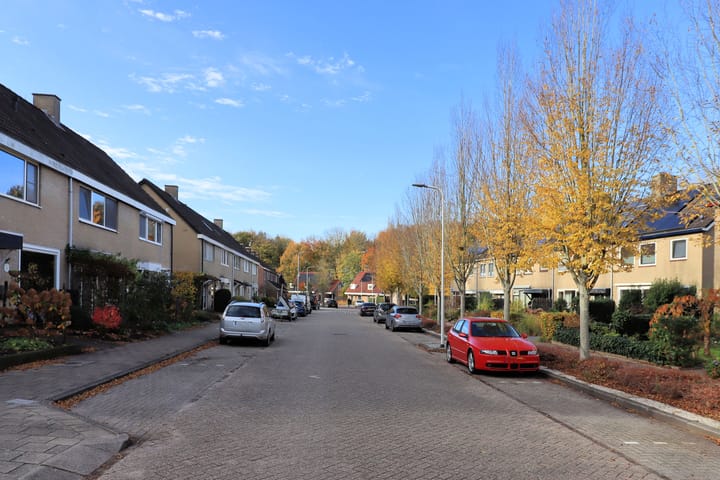 Photo 31 of Noordzoom 16