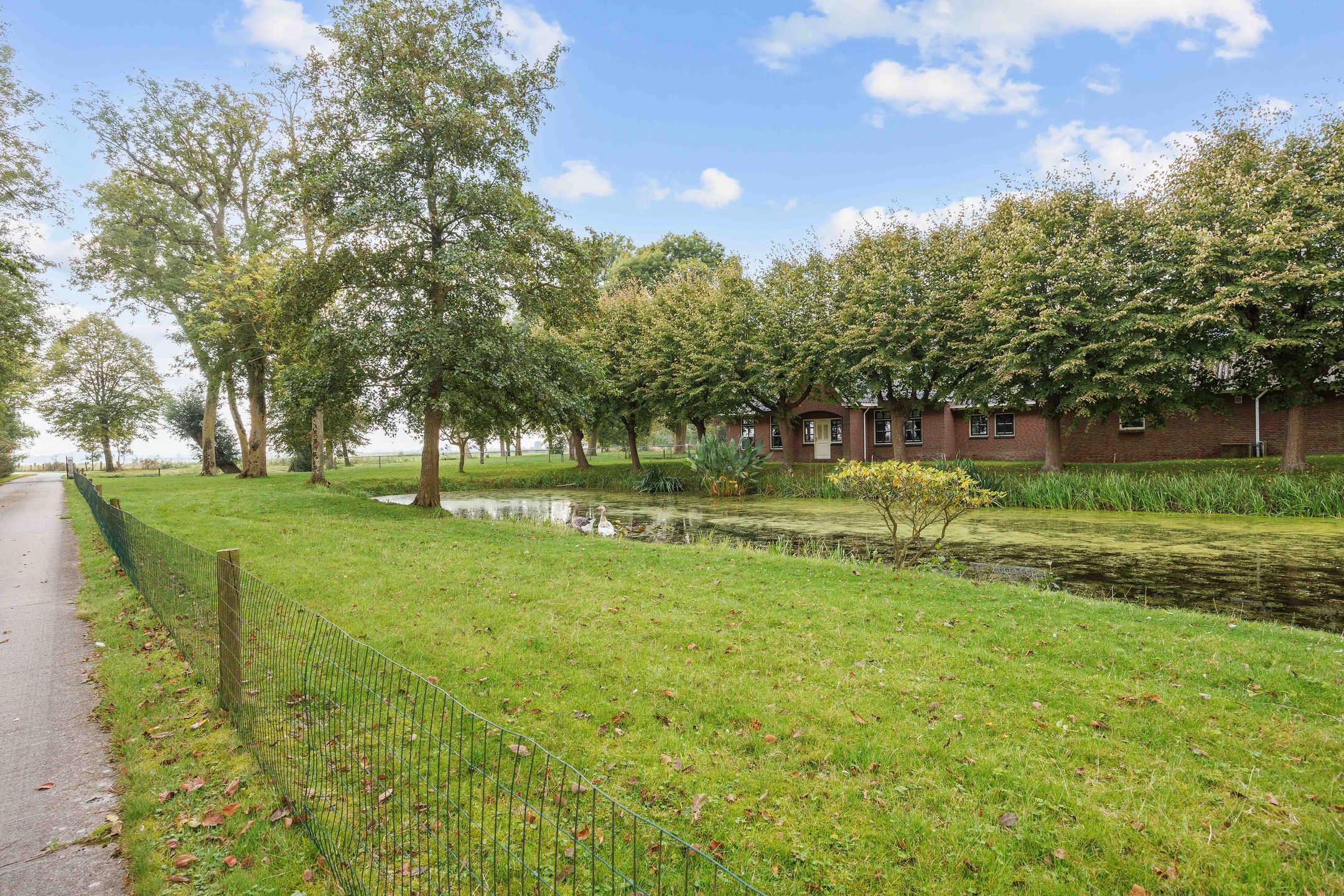 Foto 6 van Schilligeham 8