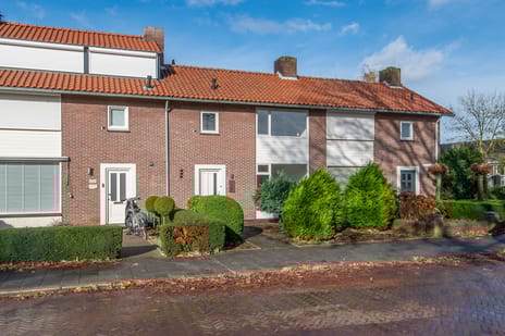 undefined main image