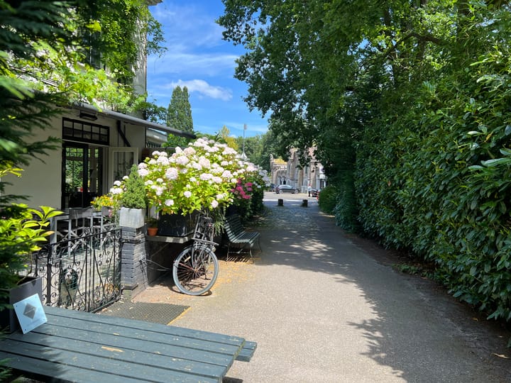 Foto 53 van Ruijsdaelplein 4