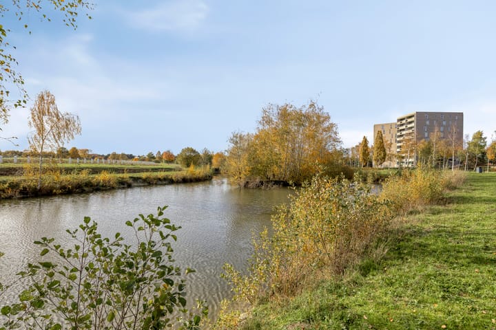 Photo 37 of Zanddreef 14