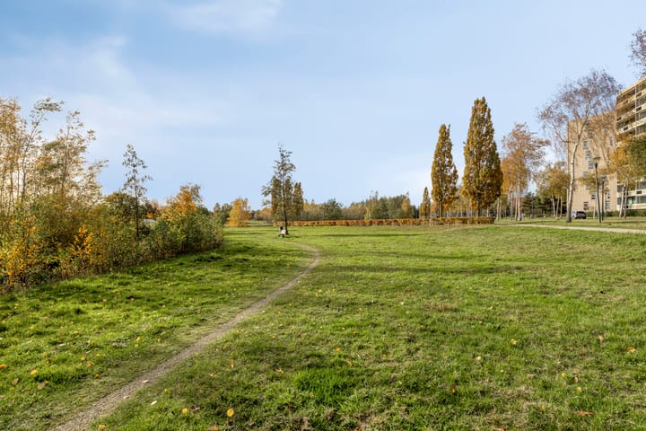 Photo 38 of Zanddreef 14