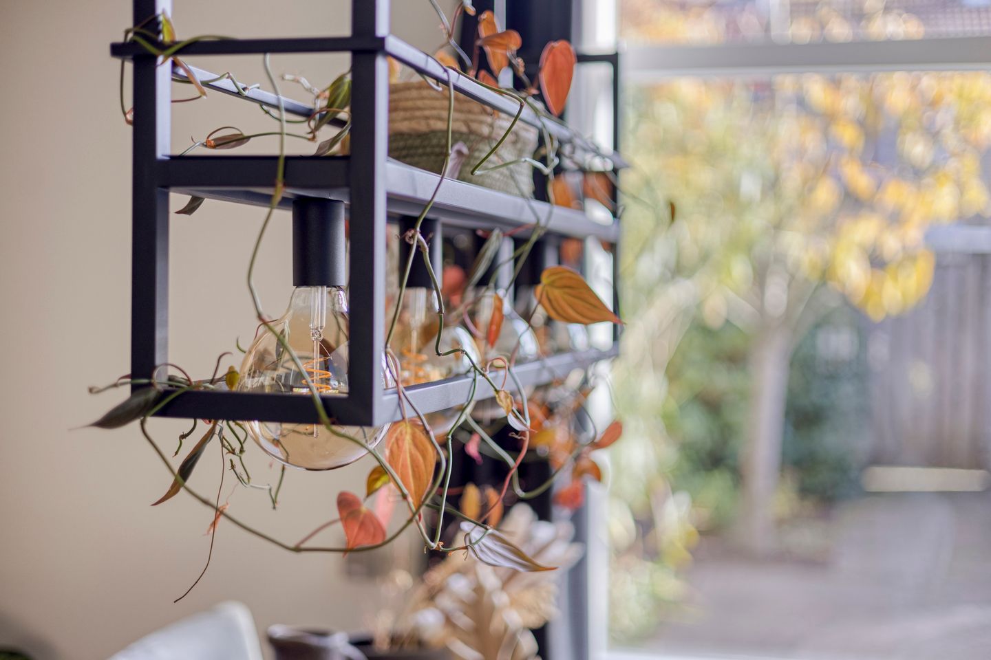 Foto 25 van Naberpad 4