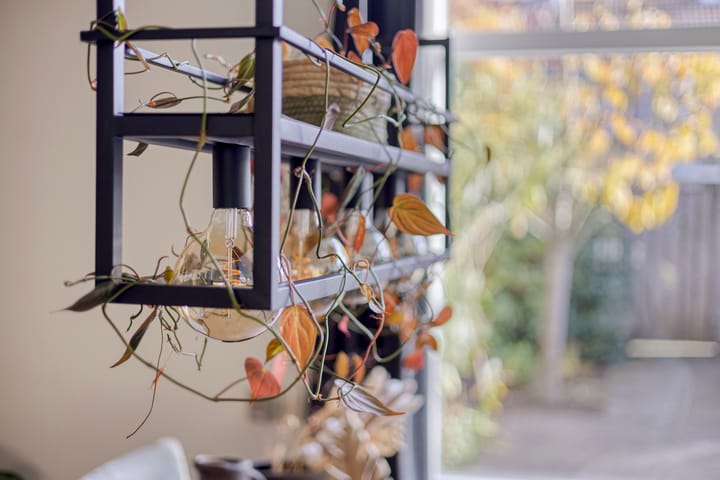 Photo 25 of Naberpad 4