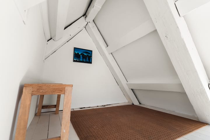 Photo 31 of Derde Leliedwarsstraat 13-1