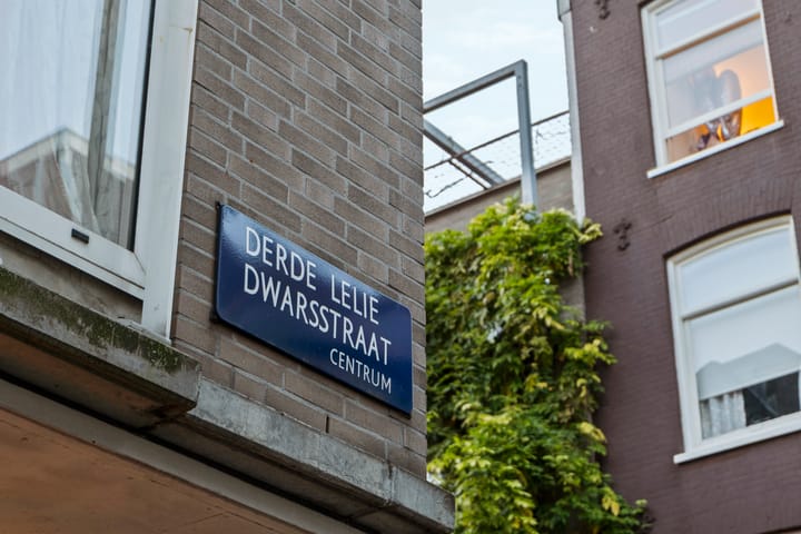 Photo 42 of Derde Leliedwarsstraat 13-1