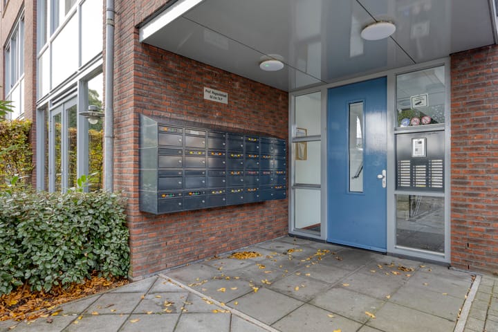 Foto 21 van Professor Regoutstraat 72-B