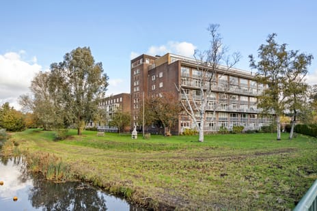 Jan Nieuwenhuyzenstraat 56-B secondary image