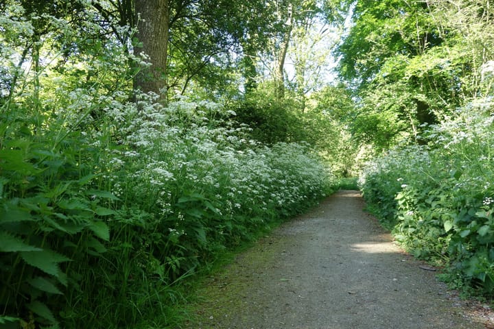 Photo 57 of Van de Veldelaan 958