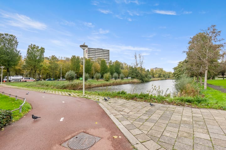 Foto 51 van Schoutendreef 289