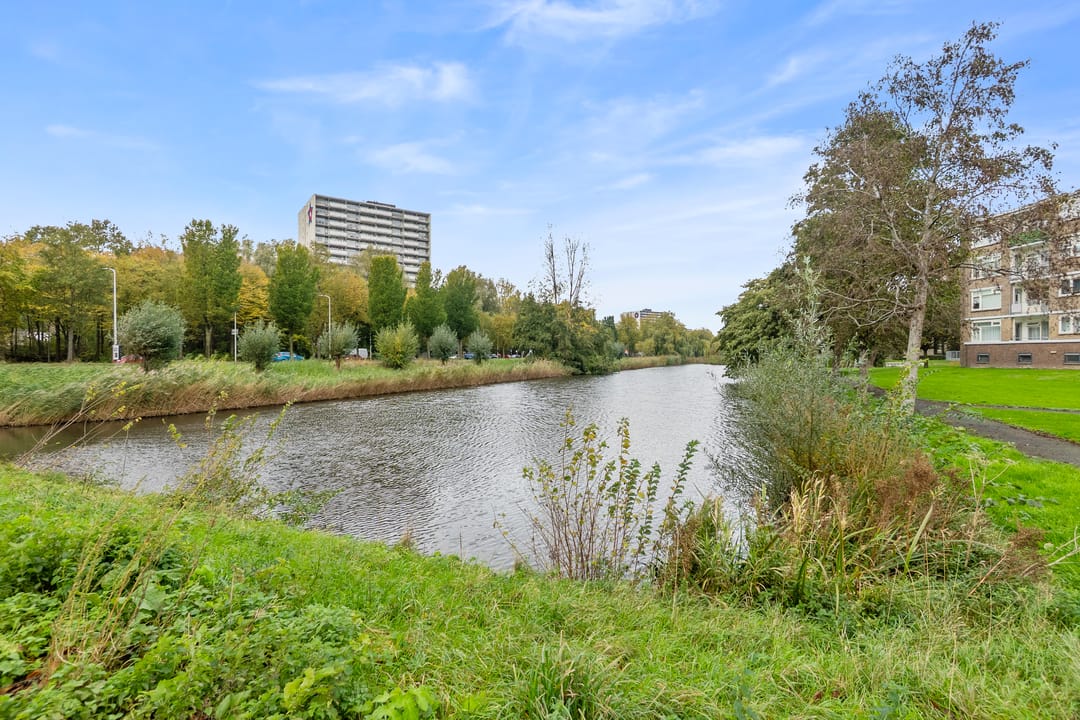 Foto 52 van Schoutendreef 289