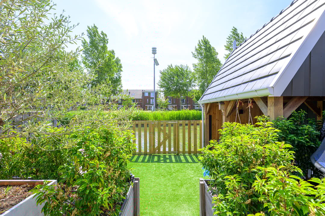 Foto 17 van Kabeljauw 6