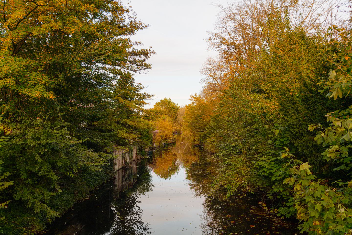 Foto 40 van Prinsenweg 109