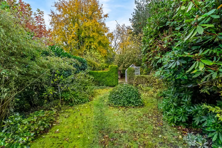 Foto 16 van Soembastraat 7