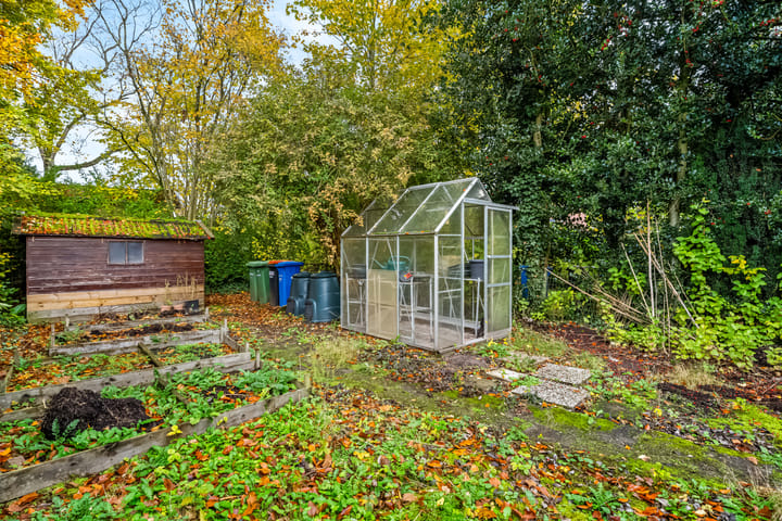 Foto 17 van Soembastraat 7