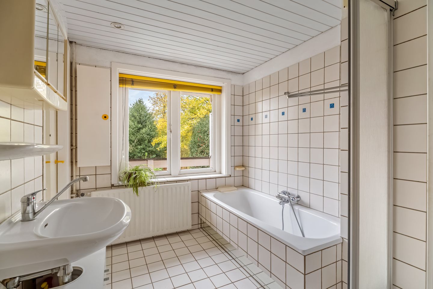 Foto 29 van Soembastraat 7