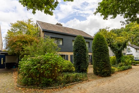 Koningsvaren 29 secondary image