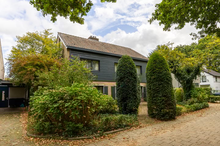 Foto 2 van Koningsvaren 29