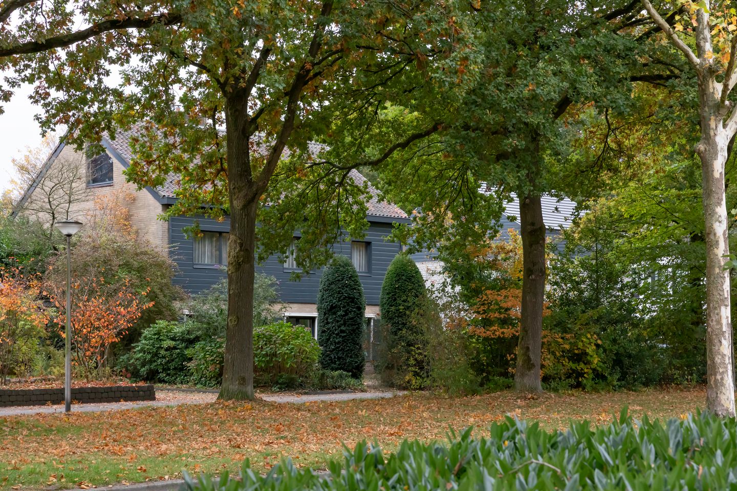 Foto 5 van Koningsvaren 29