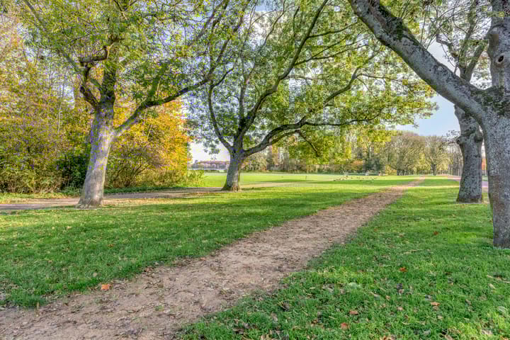 Foto 45 van Jeruzalemstraat 20-B