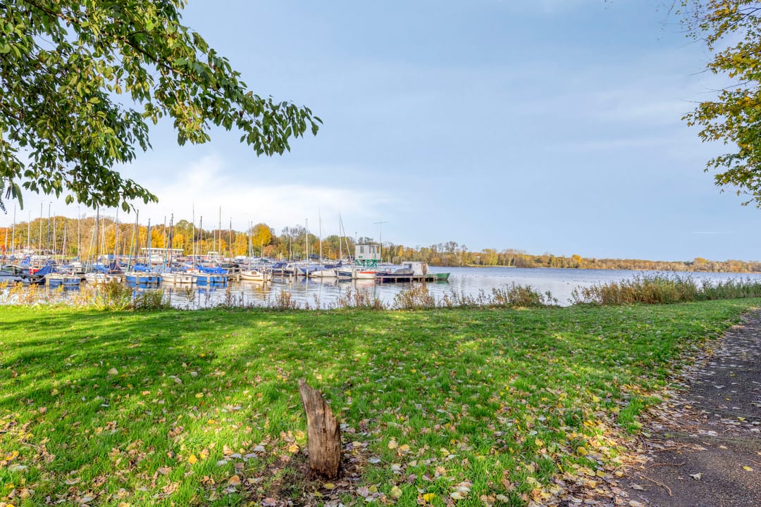 Photo 46 of Jeruzalemstraat 20-B