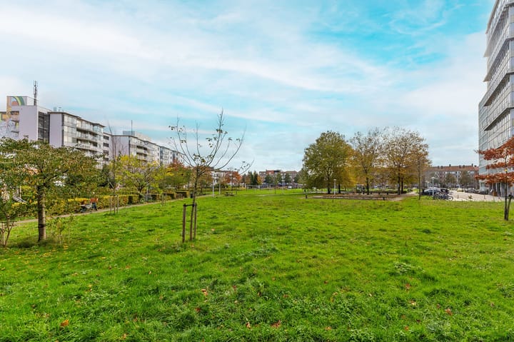 Photo 10 of Bos en Lommerplantsoen 15-D