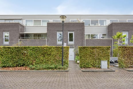 undefined main image