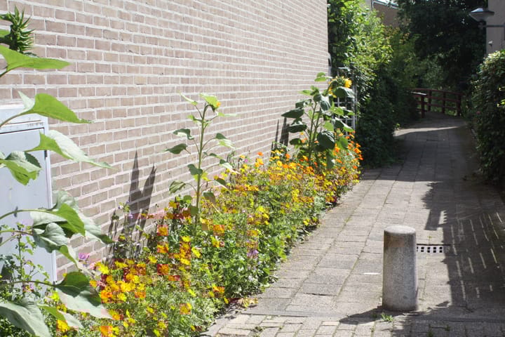 Foto 35 van Gamandertuin 1