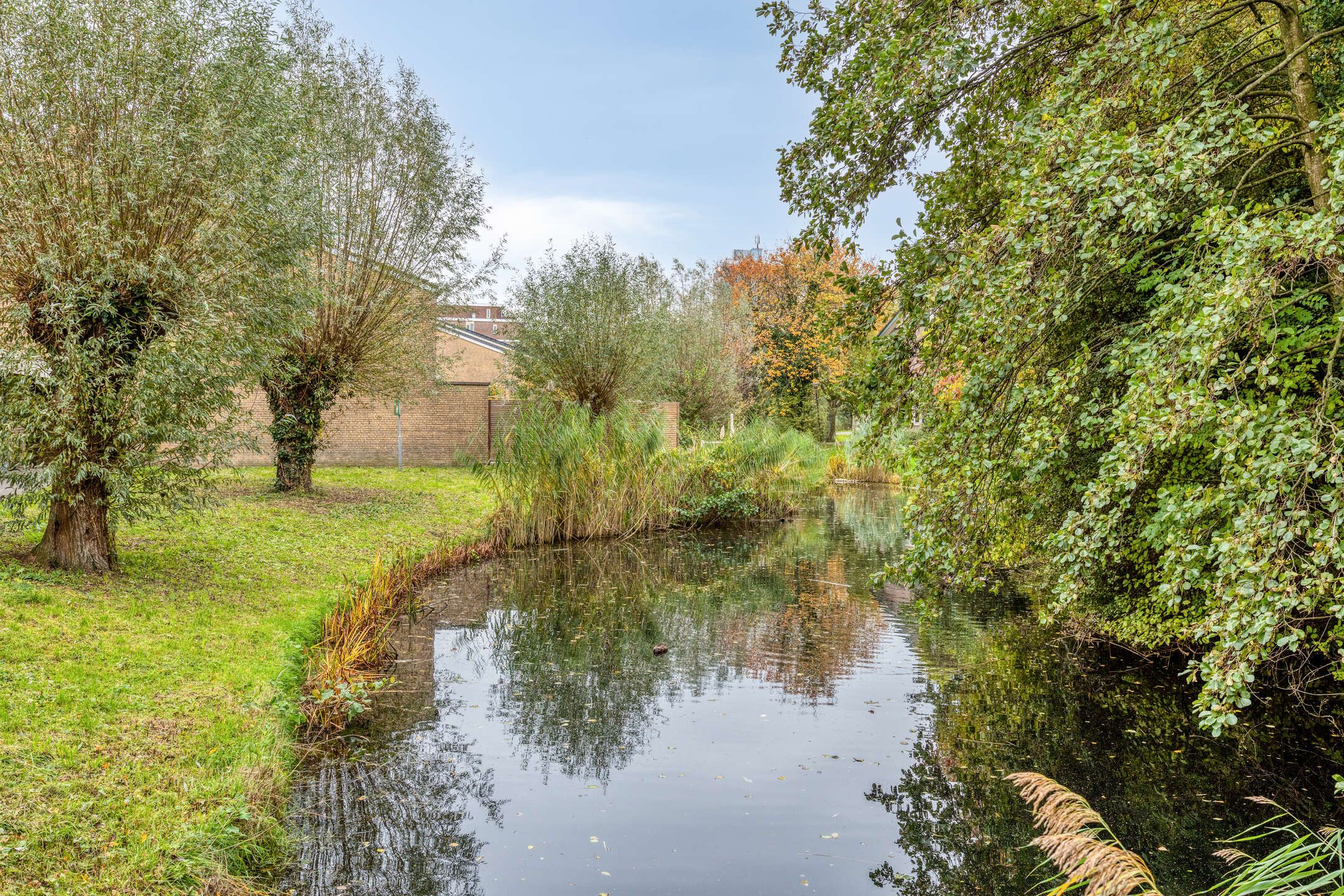 Foto 36 van Gamandertuin 1