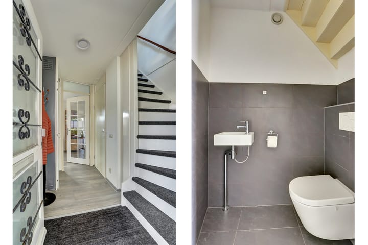 Photo 4 of Meerkoet 15