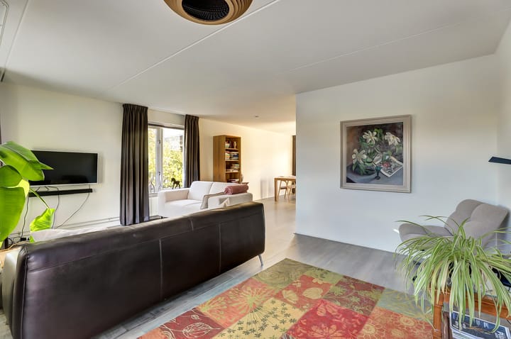 Photo 8 of Meerkoet 15