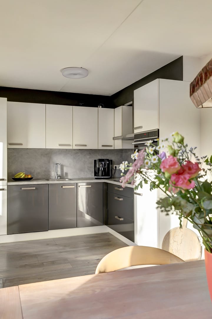 Photo 11 of Meerkoet 15