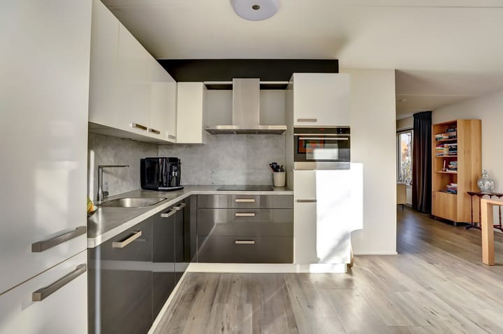 Photo 13 of Meerkoet 15