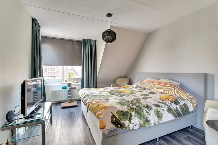 Photo 17 of Meerkoet 15