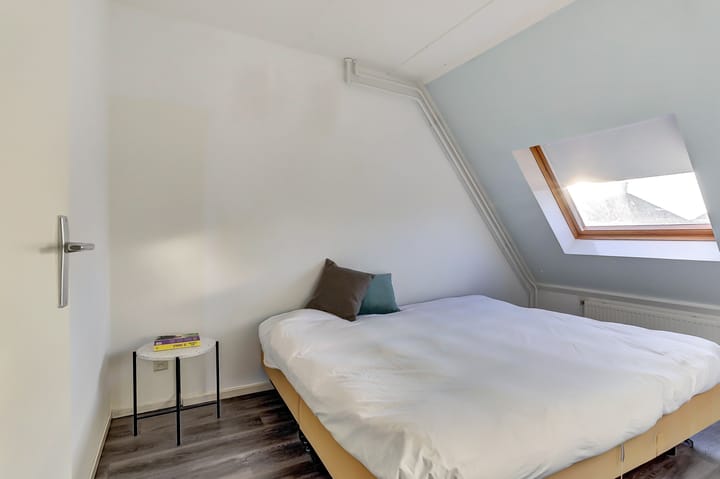 Photo 18 of Meerkoet 15