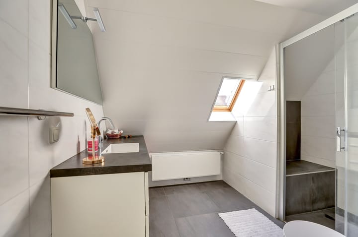 Photo 20 of Meerkoet 15