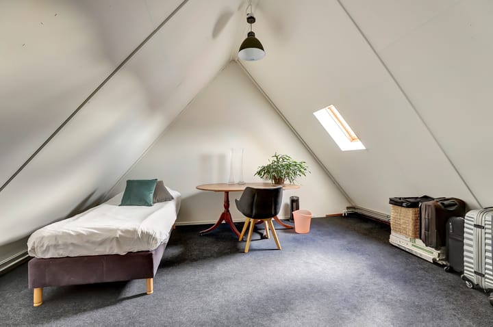 Photo 22 of Meerkoet 15