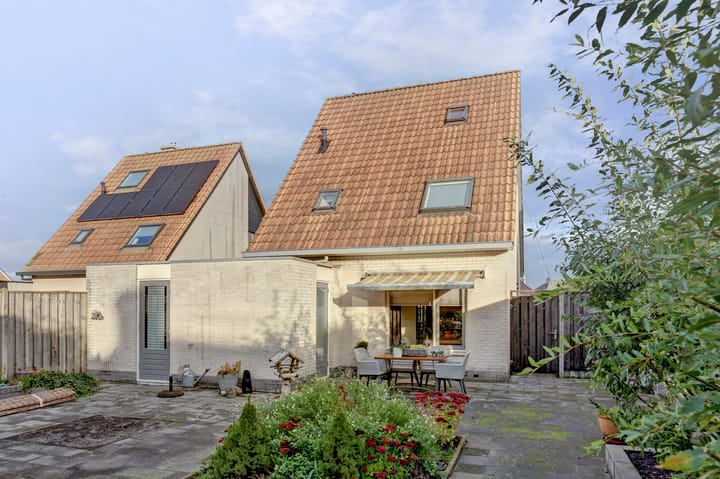 Photo 23 of Meerkoet 15